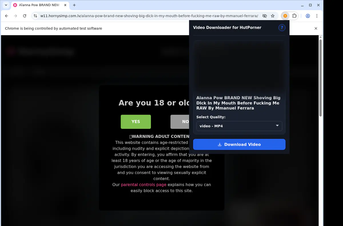 Hutporner Video Downloader browser extension screenshot 3